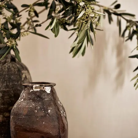 Villa Luxury Naxos Honeymoon Air Conditioning Private Pool Stelida (Naxos)